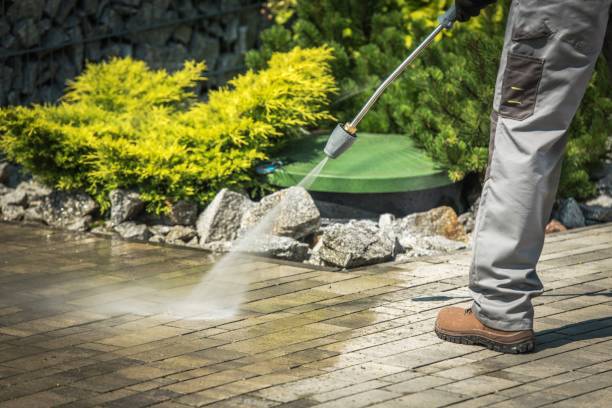Best Dumpster Area Cleaning  in Oneonta, NY