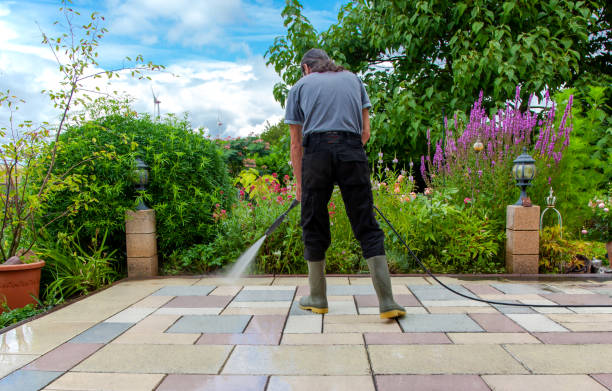 Best Sidewalk and Walkway Cleaning  in Oneonta, NY