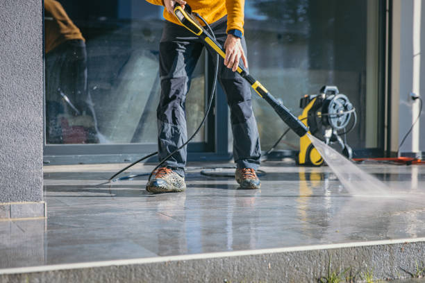 Animal Enclosure Cleaning in Oneonta, NY